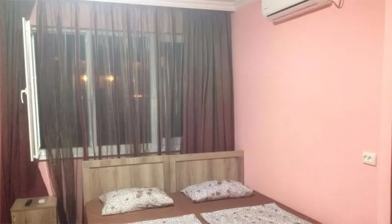 გოლდი — ფოტო 35