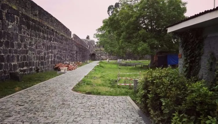 გოლდი — ფოტო 22