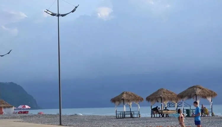გოლდი — ფოტო 13