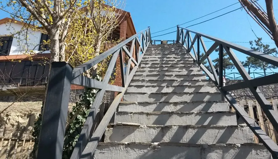 ჩიკო — ფოტო 8