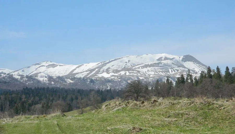 ემჯი ჰაუსი — ფოტო 27