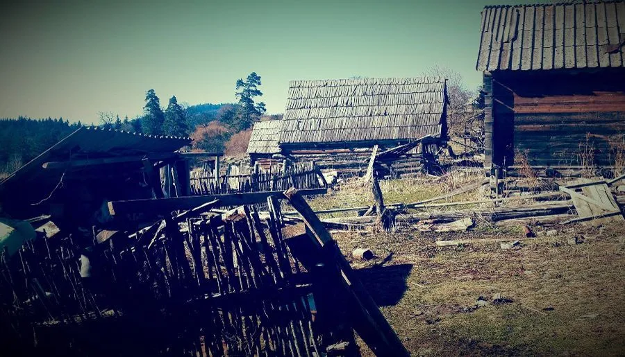 ემჯი ჰაუსი — ფოტო 38