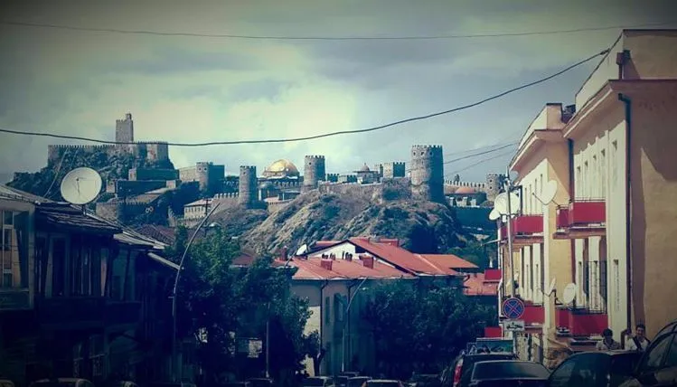 ემჯი ჰაუსი — ფოტო 43