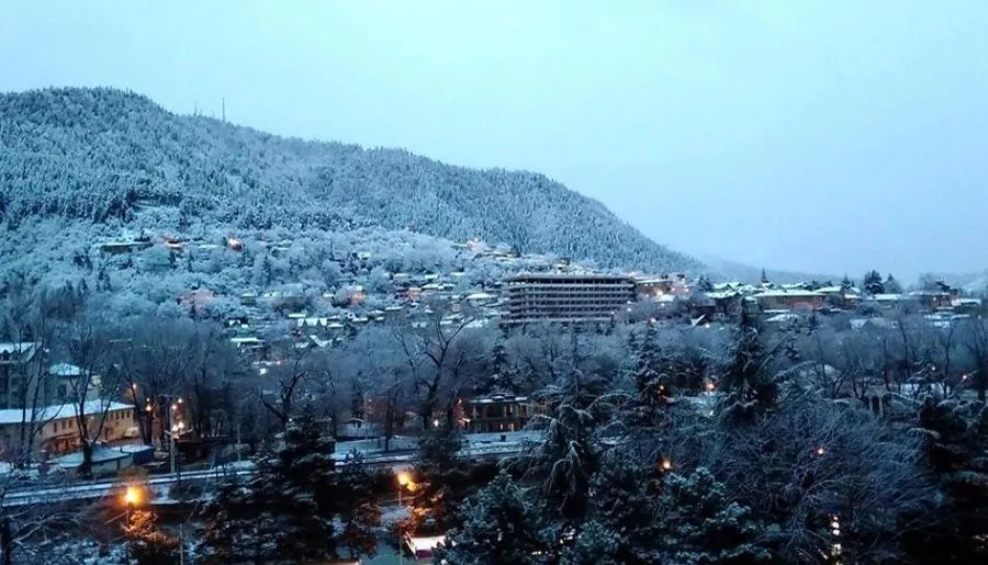 Guest House Borjomi — Photo 7