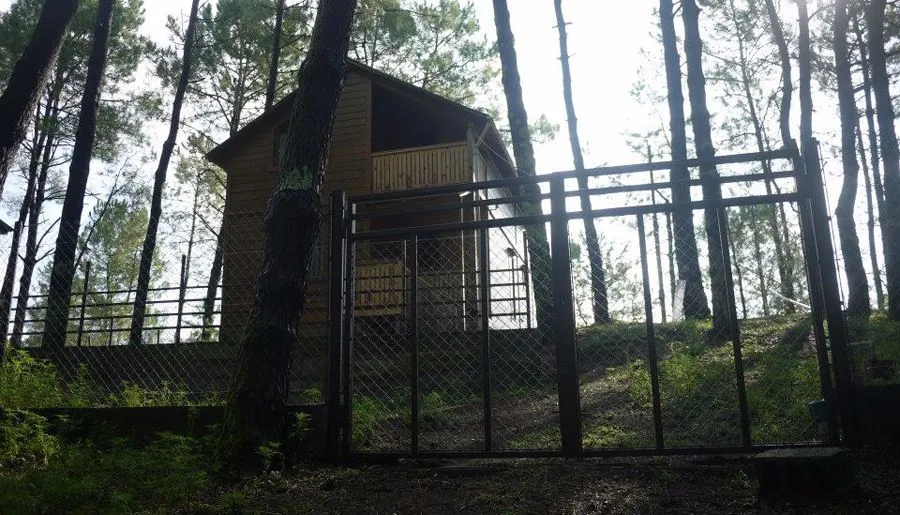 Shekvetili — Photo 7