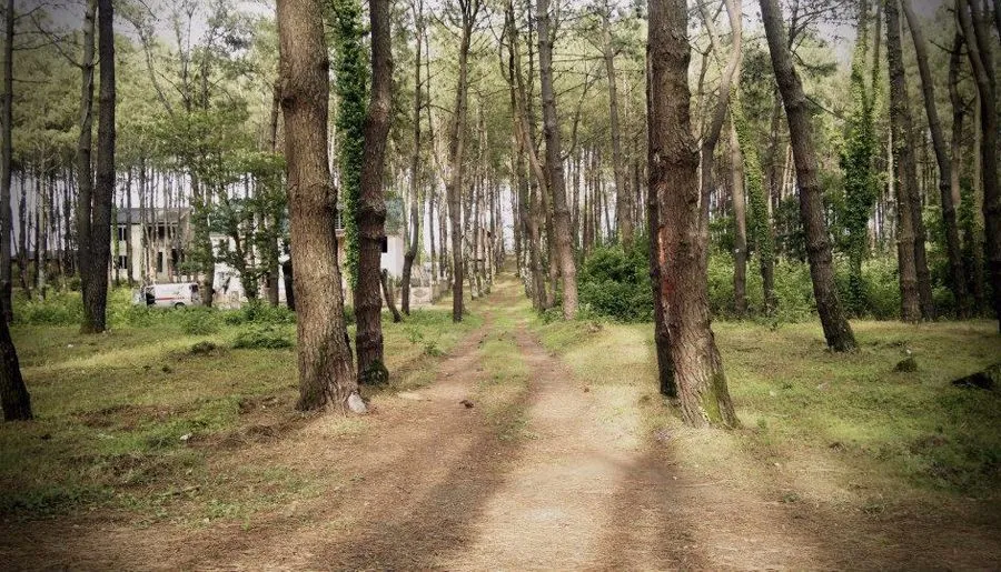 Shekvetili — Photo 3
