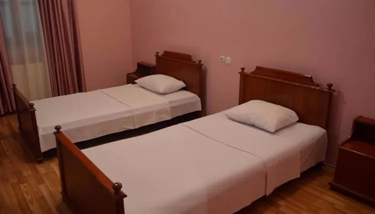 ტირიფიჰოლიდეი — ფოტო 44