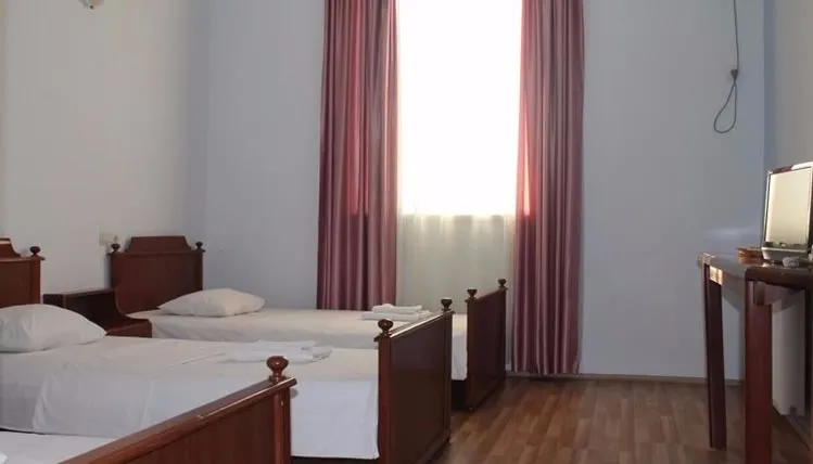 ტირიფიჰოლიდეი — ფოტო 47
