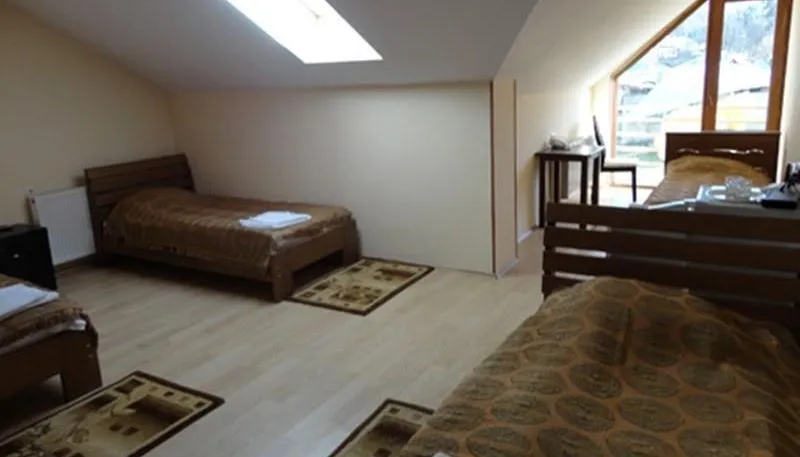 Bakuriani Hills — Photo 14