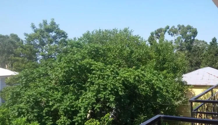 Visitor — Photo 3