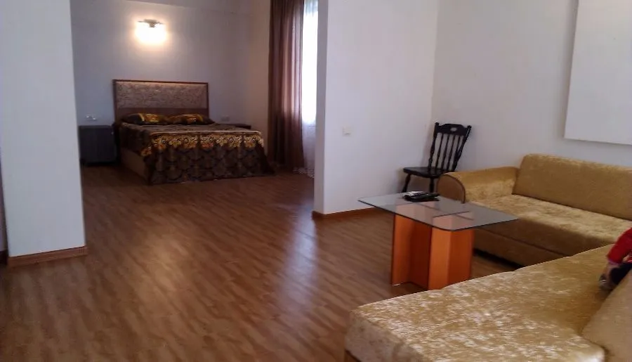 საოჯახო სასტუმრო საბა — ფოტო 18