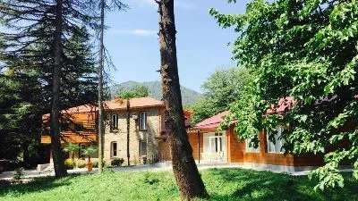 ვალდ ჰოტელ ლაგოდეხი
