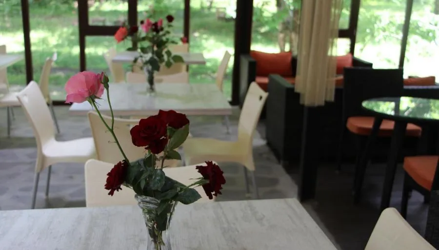 Wald Hotel Lagodekhi — Photo 2