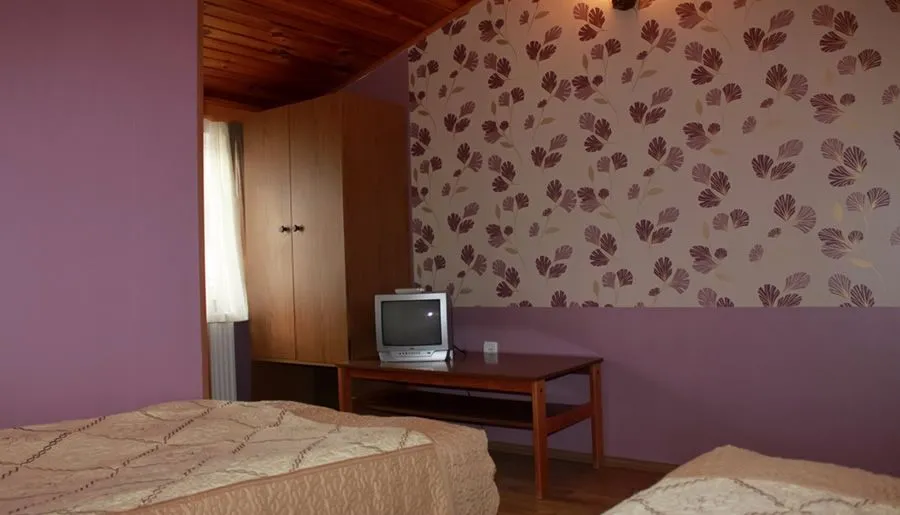 დრაკონი — ფოტო 27