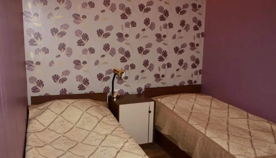 დრაკონი — ფოტო 26
