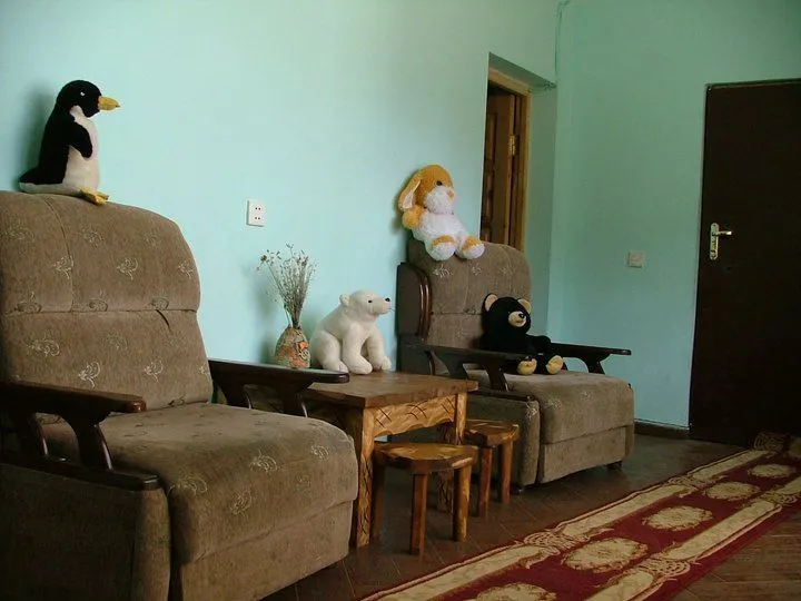 თბილი კერა — ფოტო 4