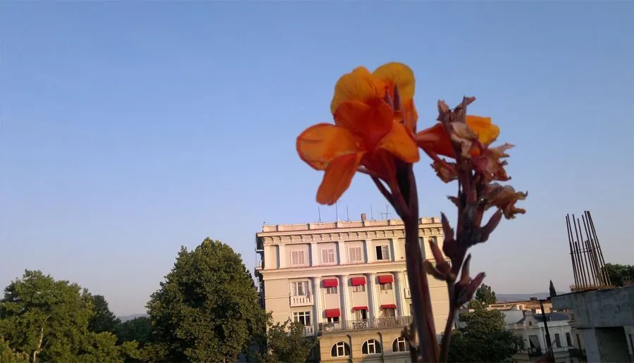 იმეჯინარიუმი — ფოტო 35