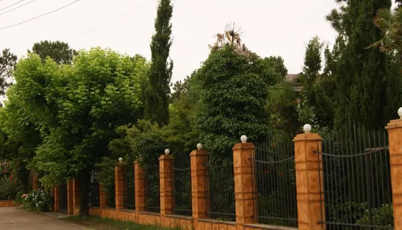 ბაჩანა — ფოტო 6