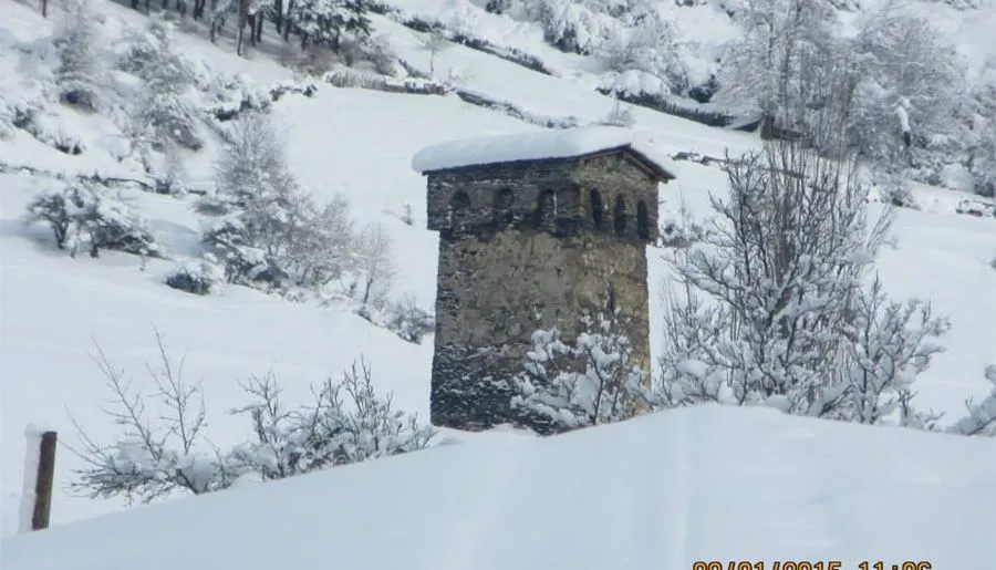 Golden Mountains House — ფოტო 13