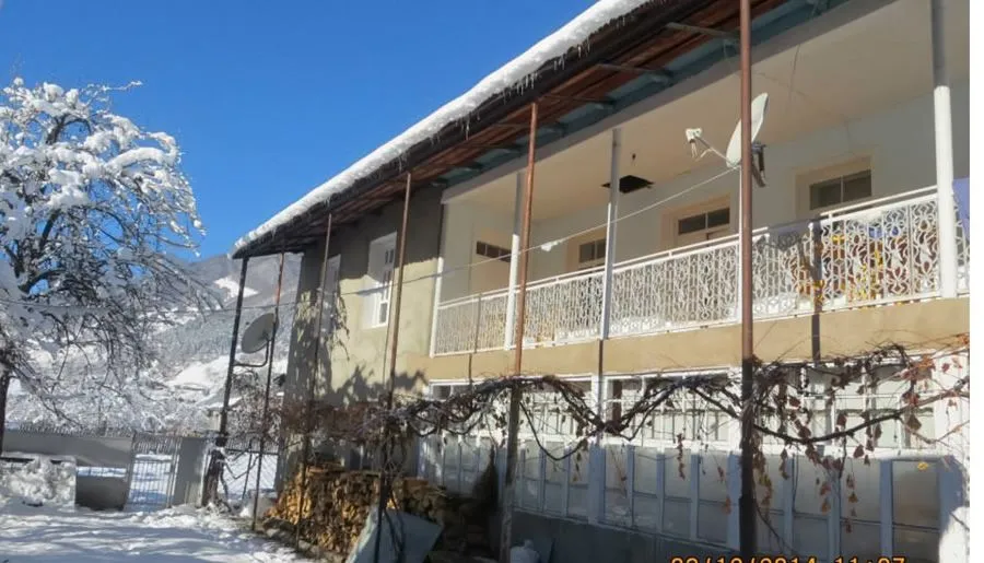 Golden Mountains House — Photo 9