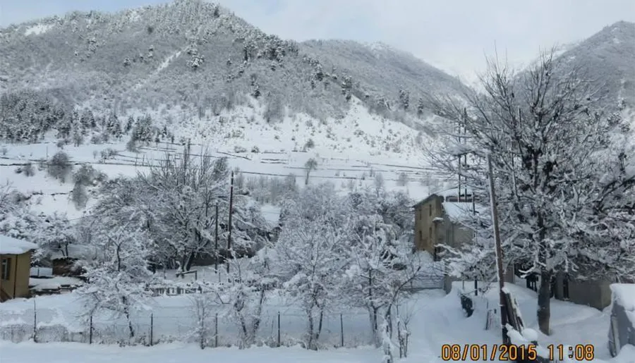 Golden Mountains House — ფოტო 22