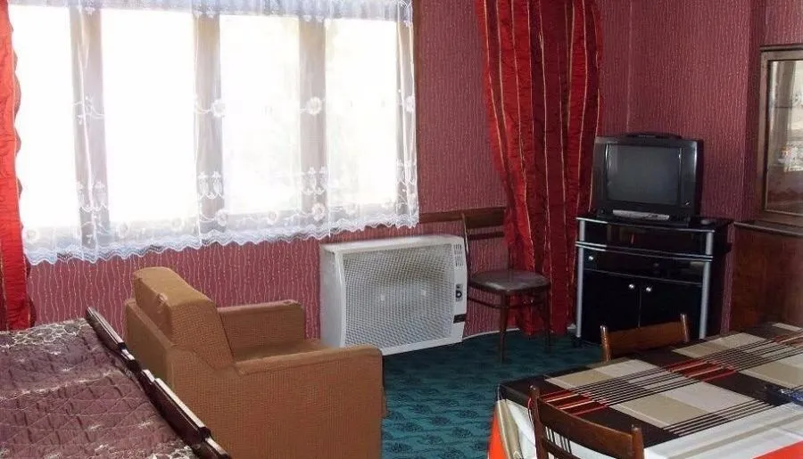 Borjomi Apartment — Photo 1