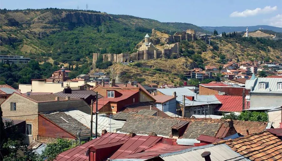 ფლამინგო — ფოტო 19