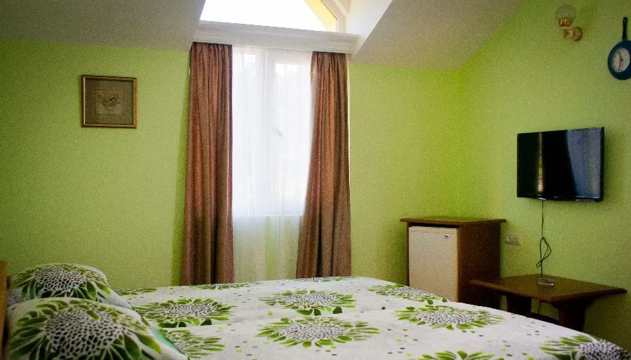 პალმა — ფოტო 20