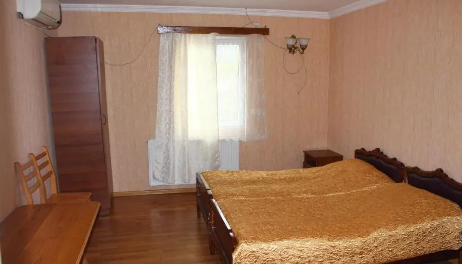 ფიროსმანი — ფოტო 26