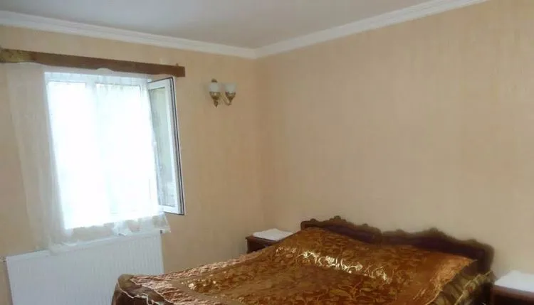 ფიროსმანი — ფოტო 29