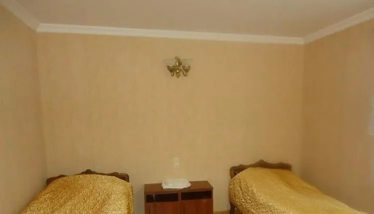 ფიროსმანი — ფოტო 20