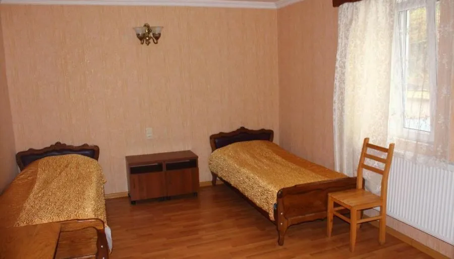 ფიროსმანი — ფოტო 25