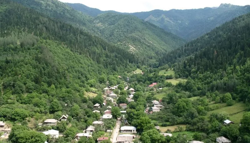ეკო კოტეჯები — ფოტო 14