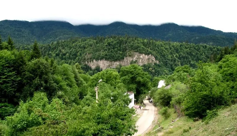 ეკო კოტეჯები — ფოტო 30