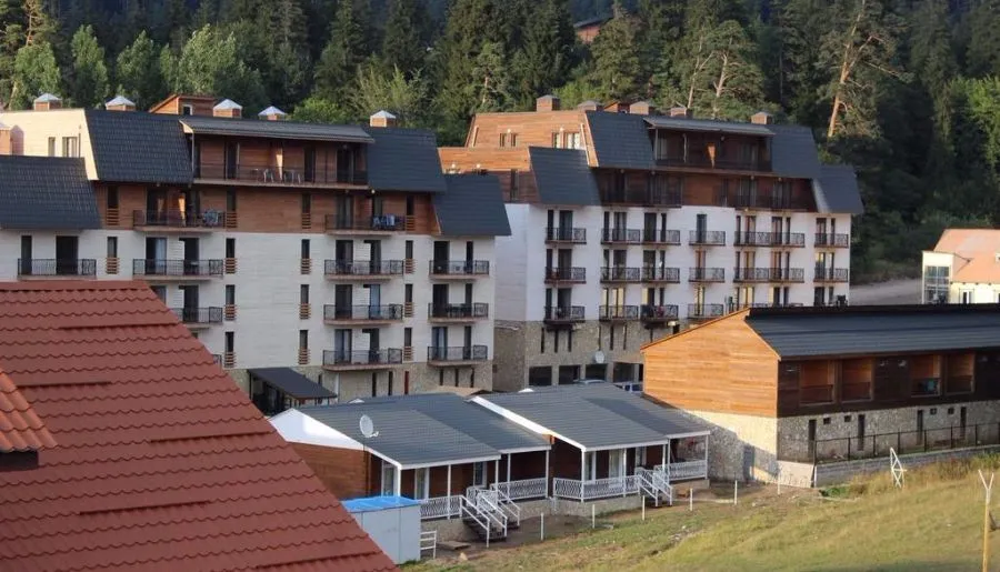 Teas Apartment in Mgzavrebi Bakuriani — Photo 2