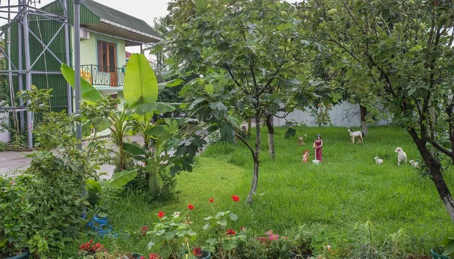 Chveni Ezo — Photo 3