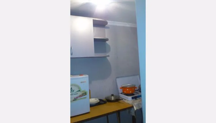 ოლივე — ფოტო 14