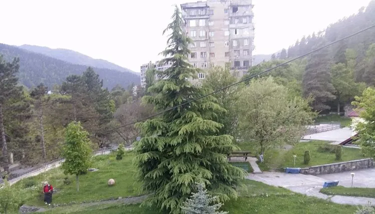 Guesthouse Borjomi-Likani Lomidze — Photo 1