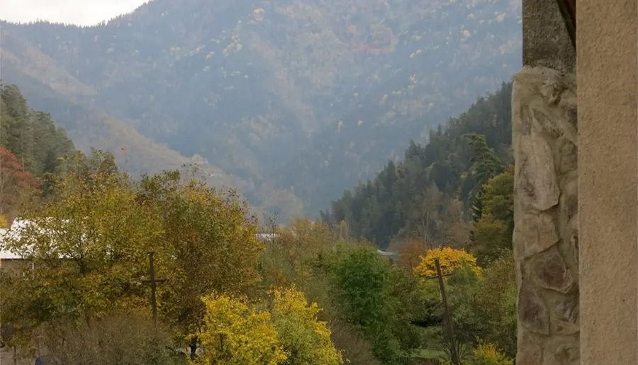 ლიკანში — ფოტო 6