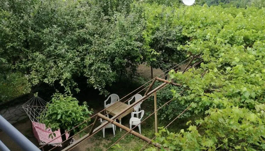 საოჯახო სასტუმრო ირმა — ფოტო 17