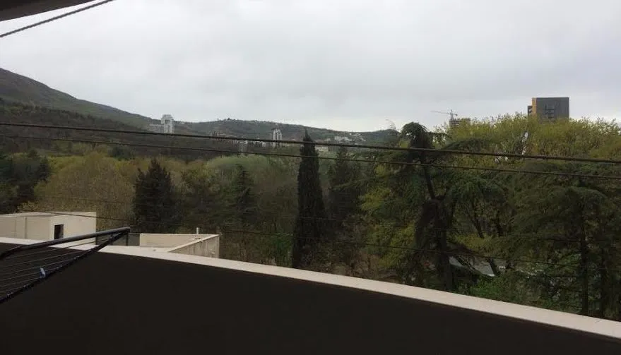 აპარტამენტი ვაკის პარკში — ფოტო 1
