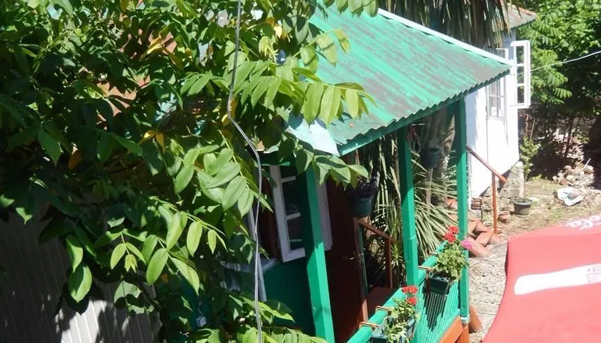 Мишико — Фото 3