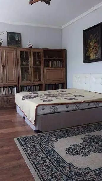 პალიტრა — ფოტო 24