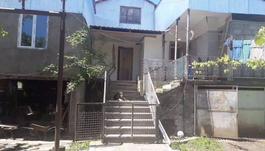 პალიტრა — ფოტო 17