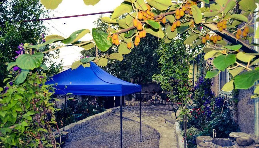 Green House Telavi — Photo 3