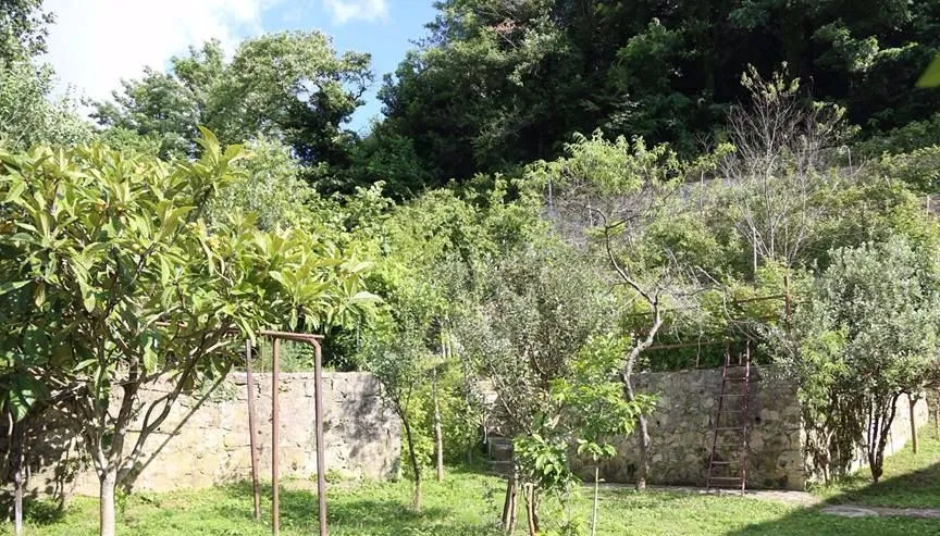 Green House — Photo 3