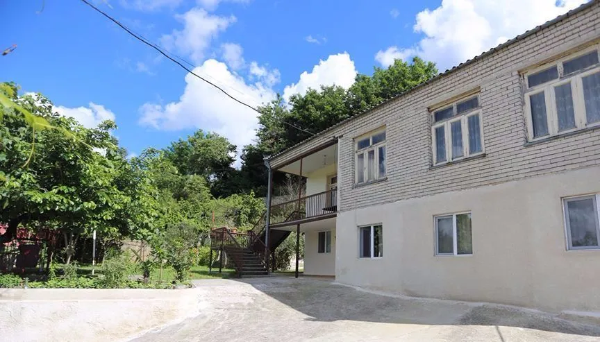 Green House — Photo 1