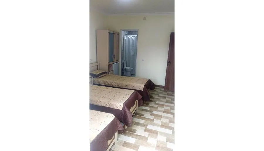 ფემილი — ფოტო 15