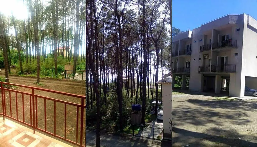 Family — Photo 4