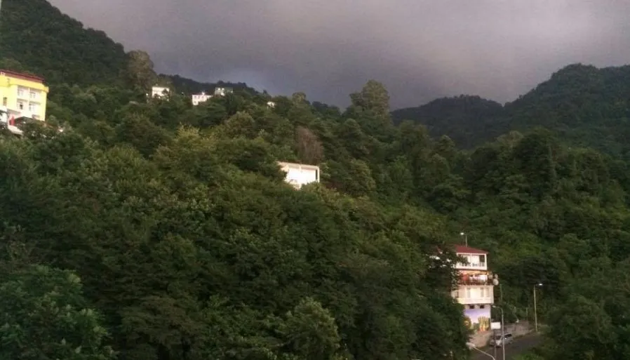 კვარიათი გ — ფოტო 1